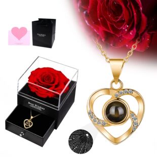 New Minimalist Alloy Heart Motif Pendant Necklace, Best Seller